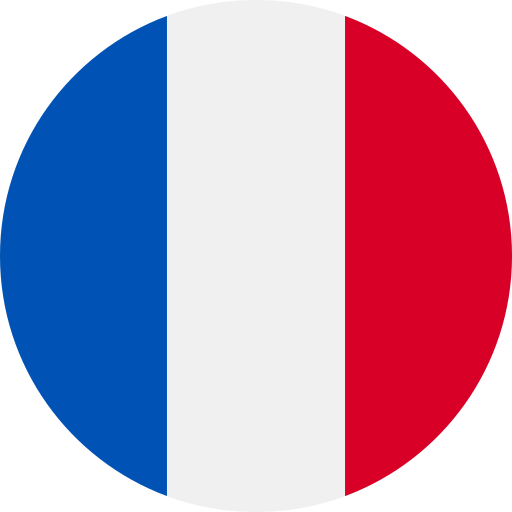 Français (France)